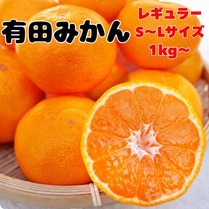 みかん 有田みかん【当店人気No.1】1000ポッキリ 送料無料 早生みかん S～Lサイズ 和歌山県産 農家直送 家庭用 1kg 3…