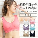 ＼LINEお友達限定★店内全品20％OFF！／ナイトブラ ABCDEFG リラックスブラ ブラジャー ノンワイヤー 夜用 楽ブラ 大きいサイズ レディース 下着 ブラ ワイヤレスブラ 夜ブラ ワイヤーなしブラ 楽 おやすみブラ リラックスブラ ノンワイヤーブラジャー