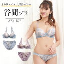 シースルー チュール 美胸 ブラ&ショーツ ブラジャー 下着 脇肉 ブラショーツ セット ブラセット パッド 内蔵パッド ブラ 美バスト ブラジャー ブラセット 下着 レディース インナー 女性 上下セット