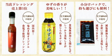 無塩調味料 5点セット( 食塩不使用 ・ 化学調味料無添加 )(醤油、ゆずぽん酢、ケチャップ、マヨネーズ、ドレッシング)【 減塩 無塩贈答 プレゼント お歳暮 ギフト 退院祝い お歳暮 ギフト プレゼント 】