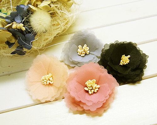 樂天商城 - プリムラ 2個 [oth-flo-028]