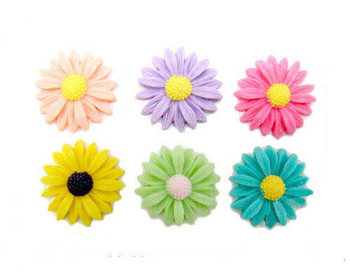 デイジー2.5 2個[cab-flo-rep-035]