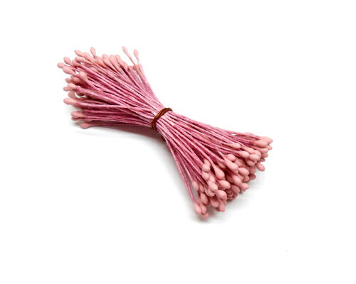 �ץ졼��S �����ƥ����ԥ�[pep-074]