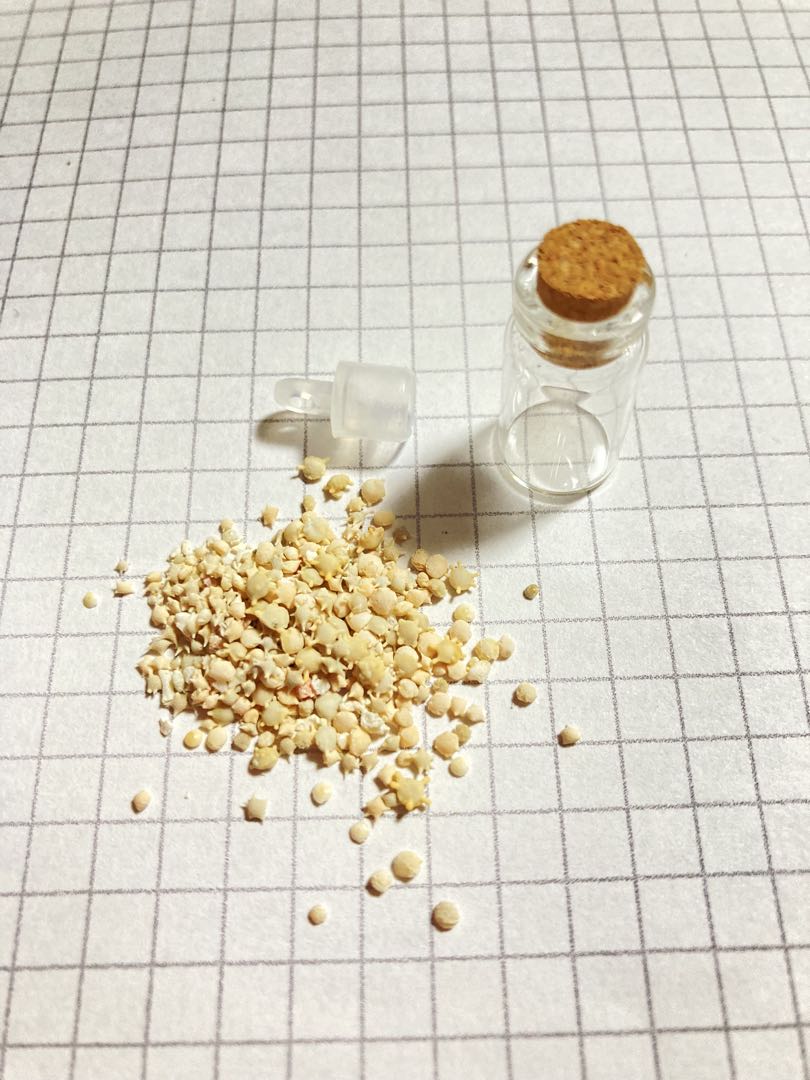 �������ꥬ�饹�ξ���2.2��1.1��[oth-bin-113]�ڥ��饹�����������꡼�ѡ��ġ��ӡ�����