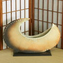 信楽焼 花器 白 窯肌 三日月 合わせ 池坊 生け花 在庫数限り 在庫処分 和風 洋風 華道 陶器 フラワーベース 立花花器 自由花 花瓶 ギフト 信楽焼き 焼...
