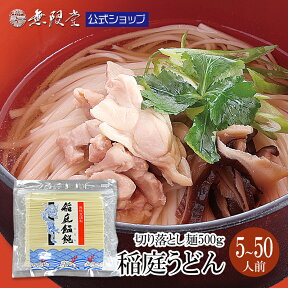 ＼当店人気No1商品！／稲庭うどん 訳あり お徳用 切り落し麺500g (約5~6人前) メール便 送料無料 無限堂 稲庭うどん 訳あり 秋田 ふるさと 徳用 家庭用 お取り寄せ 乾麺 防災 ローリングストック 長期保存 マラソン 買い周り ポイント