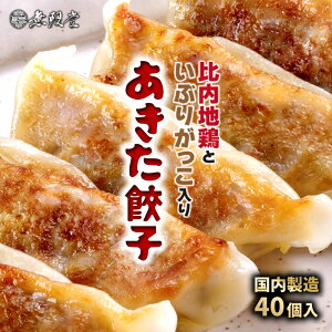 【2セット以上購入で12個おまけ付！】冷凍あきた餃子（40個入り）|比内地鶏といぶりがっこ入りの秋田がつまった冷凍餃子です|餃子 比内地鶏 いぶりがっこ 秋田 ご当地グルメ 送料無料 冷凍餃子 冷凍生餃子 冷凍食品 惣菜 中華 グルメ ご当地 国内製造