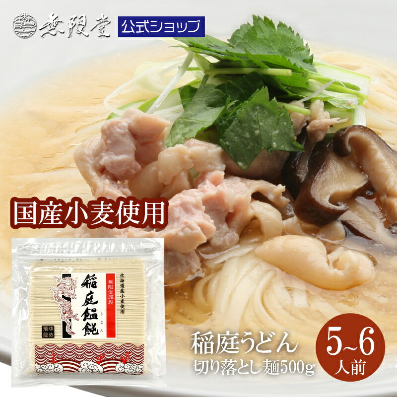 ＼北海道産小麦100%使用／稲庭うどん 【ゆめ飛龍】 徳用切れ端麺500g(5〜6人前) メール便 送料無料 無限堂 訳あり 国産小麦 北海道産 秋田 ふるさと 家庭用 お取り寄せ 乾麺 防災 ローリングストック 長期保存