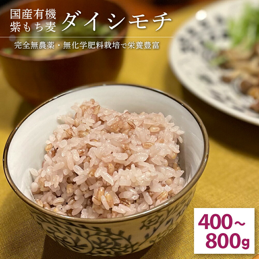 選べる400g~800gのセット ダイシモチ 有機もち麦 有機栽培 紫もち麦 もち麦 雑穀 麦 国産 食物繊維 ご飯 ダイエット 健康 糖質 β-グルカン 米1合に大さじ2 勅使川原精麦所 送料無料 ネット限定【セットでお得!】