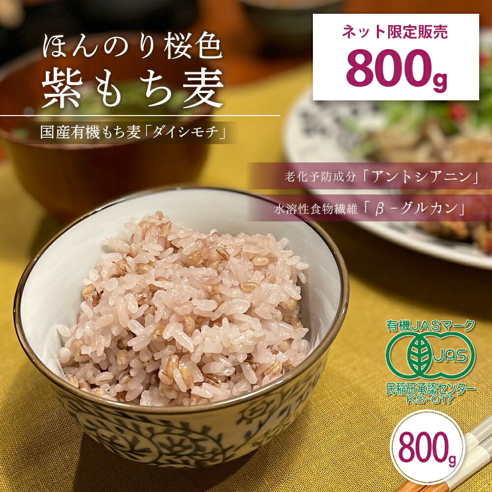 楽天麦の庭　teshi★新商品★【ネット限定 800g】＼送料無料／ダイシモチ 有機もち麦 有機栽培 紫もち麦 もち麦 800g 雑穀 麦 国産 食物繊維 ご飯 ダイエット 健康 栄養 糖質 β-グルカン 米1合に大さじ2（60g） 勅使川原精麦所 敬老の日 運動会 お弁当