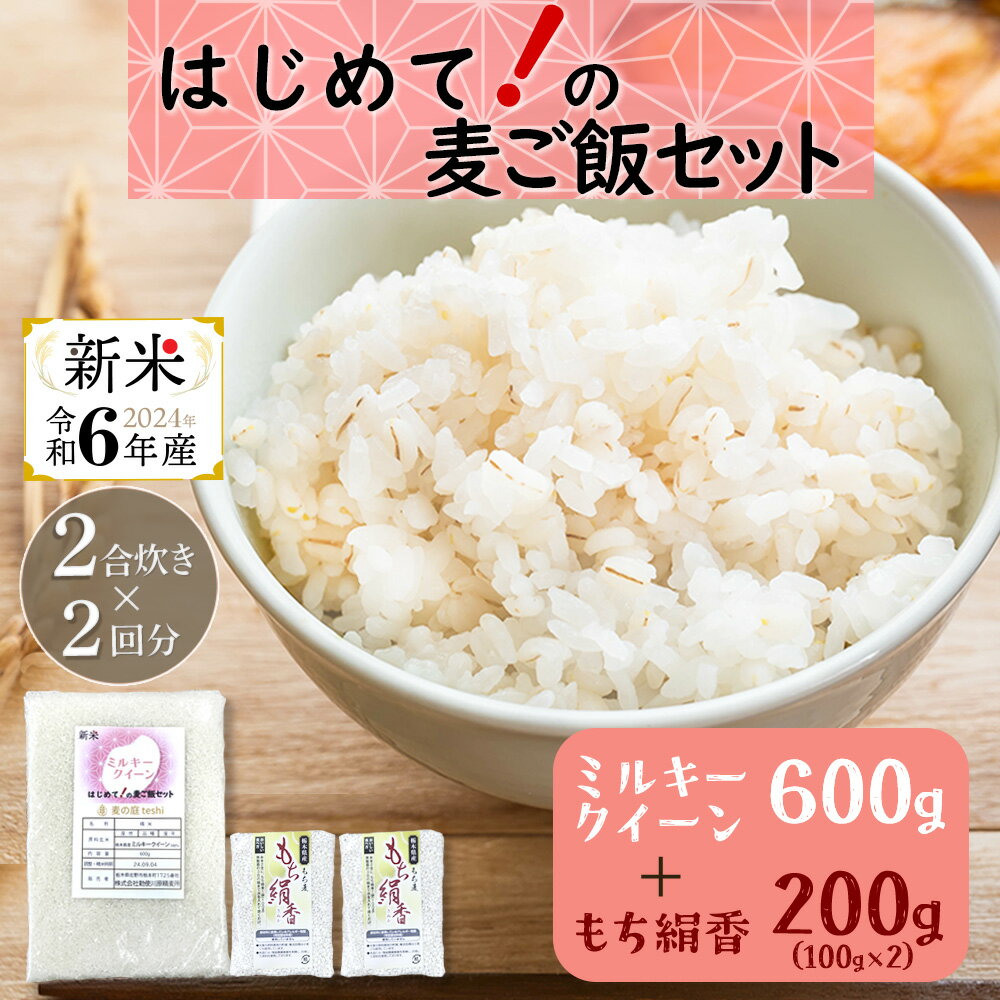 ＼感謝祭限定★まとめ買いで300円OFF！／【1000円ポッキリ】 はじめての麦ごはんセット 炊き立てが白いもち麦！ミルキークイーン もち麦 もち絹香 セット商品 新米 お試し 雑穀 麦 国産 食物繊維 白米 栃木県産 お米 大粒 低アミロース米 高評価 送料無料 ネット限定のサムネイル