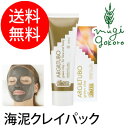 アルジタル グリーンクレイ ペースト 250ml 【パック】...