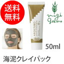 アルジタル グリーンクレイ ペースト 50ml 【パック】 ...
