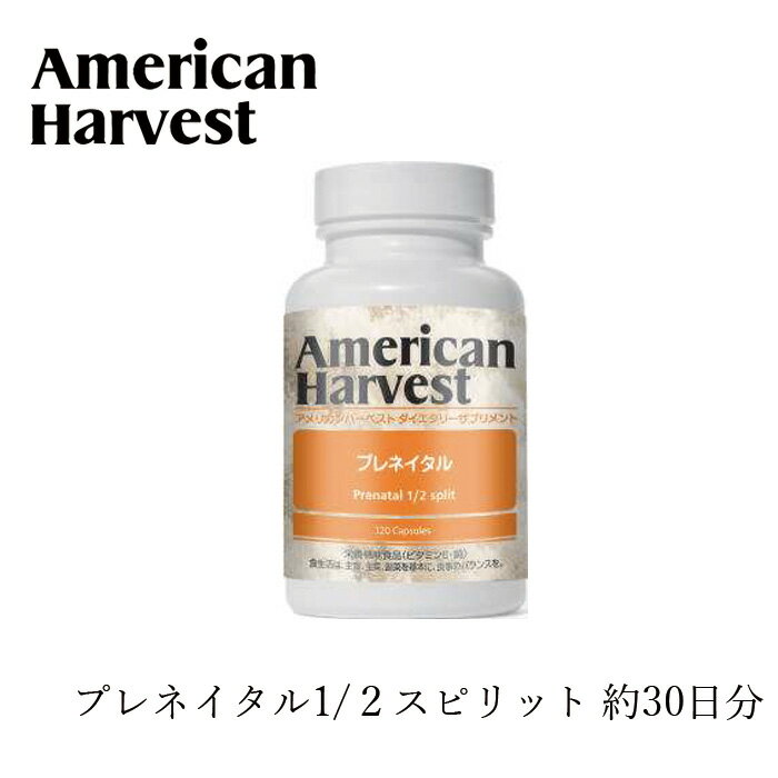 ץ ӥߥE Ƽ ꥫϡ٥ ץͥ1/2ץå 120γ 14ץ 30ʬ AmericanHarvest ŵ  ŷ ʥ Υ󥱥ߥ  ܵǽ ܥ饹ܥȥ꡼ ޥӥߥ ߥͥ