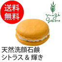 ボンヌプランツ Bonne Plantes スウィーツソーパ...
