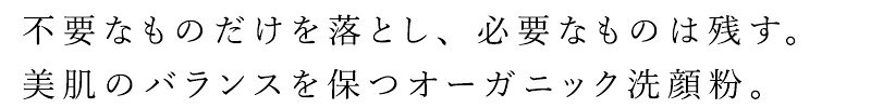 洗顔粉 無添加 ゼロケミカルオーガニックうるおう洗顔粉 55g 購入金額別特典あり オーガニック ナチュラル 自然 天然 スキンケア 洗顔料 洗顔 mugigokoro-10007226 オーガニック 健康生活 むぎごころ サンプル画像2
