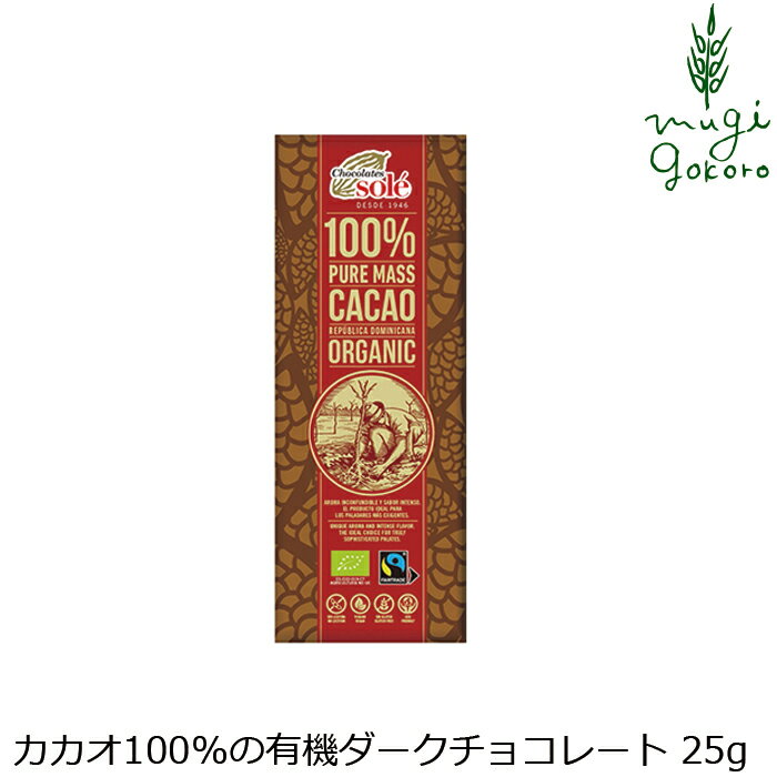 チョコレートソール ダークチョコレート 100％ 25g 有機JAS認証品 ヴィーガン認定 グルテンフリー 購入金額別特典あり 正規品 無添加 オーガニック ナチュラル 天然 カカオ 高カカオ