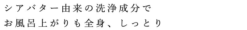 ボディソープ 無添加 ママバター ボディソープ フレグランスフリー つめかえ 400ml 購入金額別特典あり オーガニック ナチュラル ノンケミカル 自然 無香料 ボディケア 天然 シアバター配合 MAMA BUTTER mugigokoro-10006201 オーガニック 健康生活 むぎごころ サンプル画像2