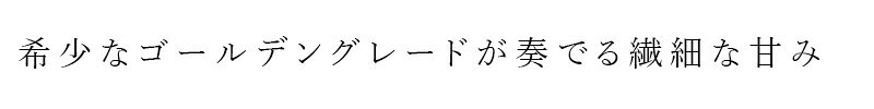 メープルシロップ 第3世界ショップ リックさんの有機メープルシロップ ゴールデン（デリケートテイスト） 330g 購入金額別特典あり 正規品 有機JAS認証 カナダグレードA 繊細な風味 第三世界ショップ mugigokoro-10009222 オーガニック 健康生活 むぎごころ サンプル画像2