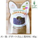 無添加 無着色 ヘルシーアニマルズ 酵素 デザートガム 鹿肉味 40g 犬猫用おやつ 無添加・無着色購入金額別特典あり オーガニック 正規品 天然 ナチュラル 自然