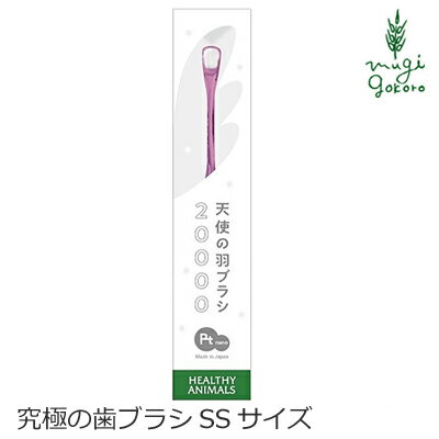 オクチブラシ ぴたポイ 30枚入 2個~10個セット KPS【追跡可能メール便】【全国一律送料無料】