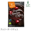 チョコレート ランドガルテン オーガニック フリーズドライチェリー ダークチョコレート 50g 購入金額別特典あり 正規品オーガニック 無添加 フェアトレード 天然 ナチュラル ノンケミカル 自然