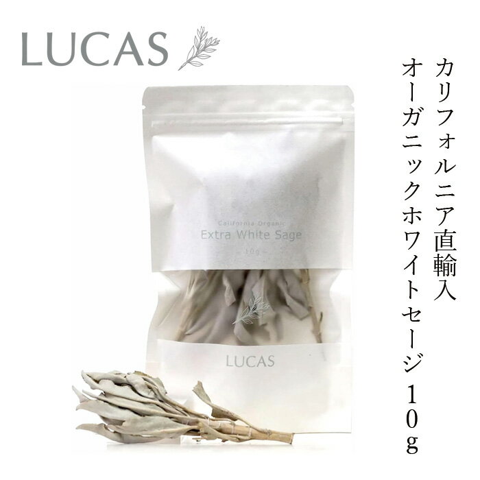 セージ ルカス LUCAS エクストラ・ホワイトセージ 10g 金額別購入特典あり 正規品 枝つき葉 空間浄化 ヨガ 瞑想 マインドフルネス リラックス オーガニックホワイトセージ カリフォルニア産 アクセサリーの浄化 農薬不使用 USDA カリフォルニア認定オーガニック農家