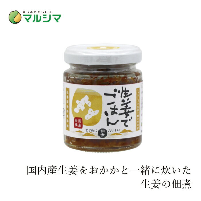 生姜佃煮 マルシマ 生姜でごはん 70g 購入金額別特典あり 正規品 国内産 無添加 オーガニック 無農薬 有機 ナチュラル 天然 純正食品マルシマ 国産原材料 ふりかけ おかか