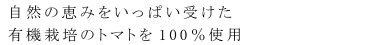 ケチャップ マルシマ 有機トマトケチャップ 300g 購入金額別特典あり 正規品 国内産 無添加 オーガニック 無農薬 有機 ナチュラル 天然 純正食品マルシマ 有機JAS