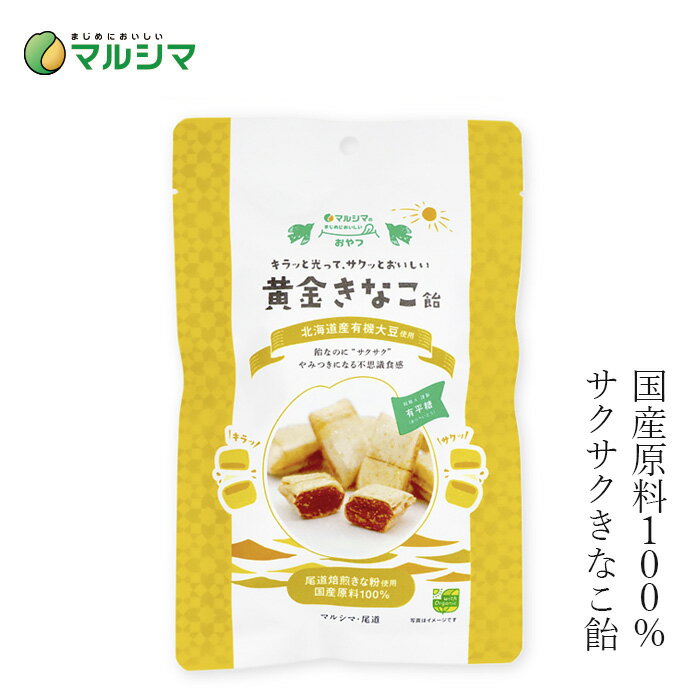 飴 マルシマ 黄金きなこ飴 80g（個包装込み） 購入金額別特典あり 正規品 国内産 保存料 無添加 オーガ..
