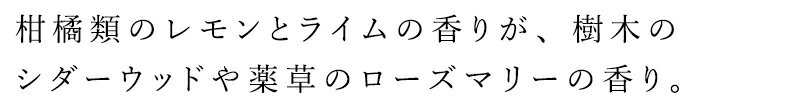 入浴剤 無添加 MOONSOAP ムーンソープ アロマバスエッセンス アラベスク 30ml 約10...
