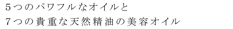 サンプル画像2