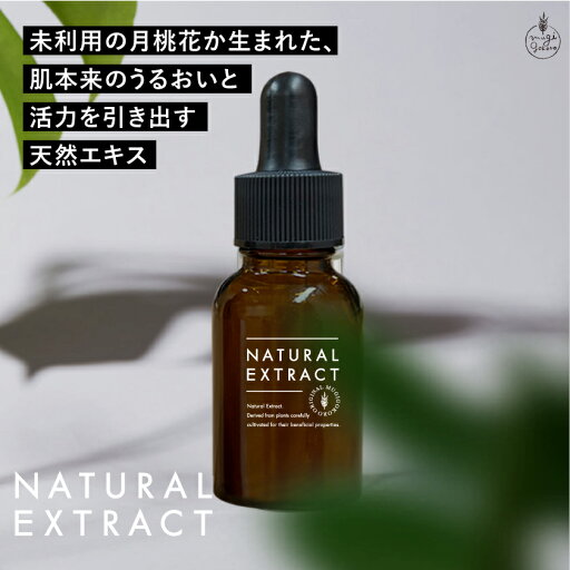 美容エキス 無添加 むぎごころのゲットウ花エキス 20ml 購入金額別特典あり フェイス用化粧品原料 ナチュラル ノンケミカル 自然派 スキンケア 植物性保湿 沖縄産月桃花由来 低温抽出 日本国内充填 むぎごころの生詰めシリーズ 美容エキス 無添加 むぎごころのゲットウ花エキス 20ml 購入金額別特典あり フェイス用化粧品原料 ナチュラル ノンケミカル 自然派 スキンケア 植物性保湿 沖縄産月桃花由来 低温抽出 日本国内充填 むぎごころの生詰めシリーズ