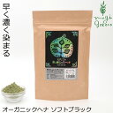 【レビューで10％off】マハラニマハラニ　ヘナ100％ 石臼挽き 500g≪メール便不可≫【ヘナ ノンケミカル】