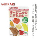 レトルトカレー ムソー ヒカリ オーガニックこどもカレー 100g 購入金額別特典あり 正規品 保存料 無添加 保存料 無添加 国産 有機JAS 有機栽培