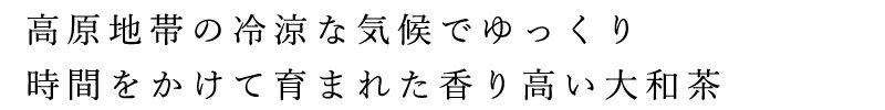 番茶 ムソー 奈良の大和茶・有機緑茶 100g 有機JAS認定商品 購入金額別特典あり 正規品 国内産 化学調味料不使用 無添加 ナチュラル 天然 遺伝子組み換え原料不使用 お茶 茶葉 MUSO 2