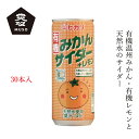 ケース販売 ジュース ムソー ヒカリ 有機みかんサイダー+レモン 250ml×30本 購入金額別特典あり 正規品 有機栽培 保存料 無添加 香料不使用 保存料不使用 有機JAS認定 muso 温州みかん