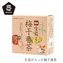 梅干番茶 ムソー 国産生姜入り梅干番茶・スティック 8g×20 購入金額別特典あり 正規品 保存料 無添加