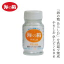 食卓塩 海の精 海の精・やきしお〈ビン入〉 60g 購入金額別特典あり 正規品 国内産 海水塩 保存料 無添加 伝統海塩 にがり成分 海水100% 自然塩 壺焼き塩