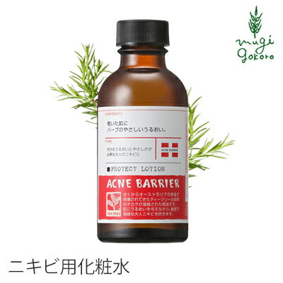 アクネバリア 薬用プロテクトローション 140ml 化粧水 ≪購入金額別特典あり≫ ■正規品■医薬部外品 ニキビ オーガニック 無添加 石澤研究所 スキンケア ローション ティトリー ティートリー にきび ニキビ ニキビ跡 消し 1