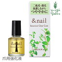 爪 強化 液 無添加 アンドネイル ボタニカルクリアコート 10ml 購入金額別特典あり オーガニック 送料無料 正規品 ネイルケア キューティクルオイル 天然 ナチュラル ノンケミカル 自然 石澤研究所