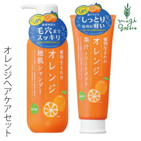 ヘアケア セット ノンシリコン 植物生まれ（オレンジ） 植物生まれのオレンジ地肌シャンプーS 400ml、植物生まれのオレンジ果汁トリートメンN 250g　のセット 購入金額別特典あり 正規品 オーガニック 無添加 送料無料 石澤研究所 頭皮ケア