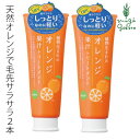 トリートメント ノンシリコン 植物生まれ （オレンジ） 植物生まれのオレンジ果汁トリートメントN 250g×2本セット 購入金額別特典あり 正規品 オーガニック 無添加 送料無料 石澤研究所 ヘアケア ナチュラル ノンケミカル 頭皮ケア