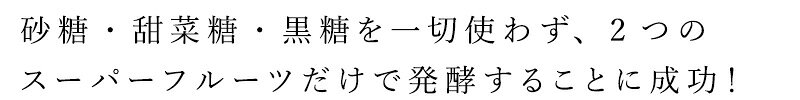 ザクロ ニニ 熟成発酵ザクロペースト（30包入） 購入金額別特典あり 保存料 無添加 無農薬 正規品 ノンケミカル 自然 美人肌 Organic nini デーツ スーパーフルーツ ミネラル ビタミン アミノ酸 mugigokoro-10007781 オーガニック 健康生活 むぎごころ サンプル画像2