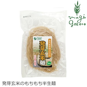 玄米麺 無添加 オーサワジャパン 発芽玄米麺 120g 半生麺 グルテンフリー 購入金額別特典あり 正規品 国産原料100％ ナチュラル 天然