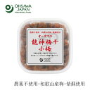 梅干し 保存料 無添加 オーサワジャパン オーサワの龍神梅干(小梅) 150g 購入金額別特典あり 正規品 国内産 保存料 無添加