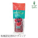 オーサワ トマトケチャップ