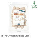 飴 無添加 オーサワジャパン オーサワの蓮根生姜飴 切飴 100g 購入金額別特典あり 正規品 ナチュラル 天然 無添加 不要な食品添加物 化学調味料不使用 自然食品