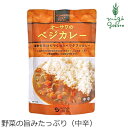 カレー 保存料 無添加 オーサワジャパン オーサワのベジカレー(中辛) 210g レトルトカレー カレーソース 購入金額別特典あり 正規品 保存料 無添加