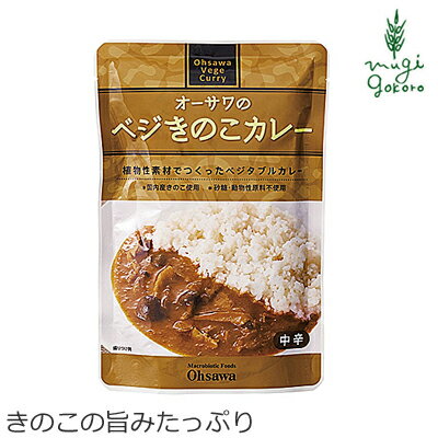 カレー 無添加 オーサワジャパン オーサワのベジきのこカレー 210g レトルトカレー カレーソース 購入金額別特典あり 正規品 ナチュラル 天然 無添加 不要な食品添加物 化学調味料不使用 自然食品